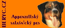 Stránky Appenzellského salašnického psa, jménem Beryc Dakam. 